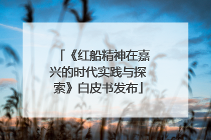 《红船精神在嘉兴的时代实践与探索》白皮书发布