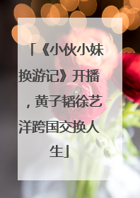 《小伙小妹换游记》开播，黄子韬徐艺洋跨国交换人生