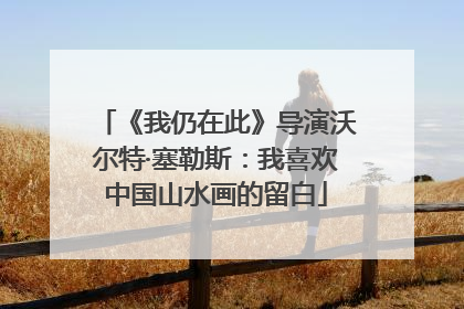 《我仍在此》导演沃尔特·塞勒斯：我喜欢中国山水画的留白