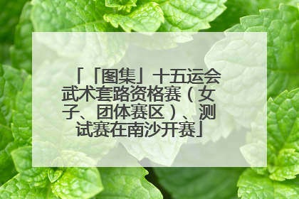 「图集」十五运会武术套路资格赛（女子、团体赛区）、测试赛在南沙开赛