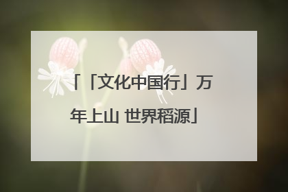 「文化中国行」万年上山 世界稻源