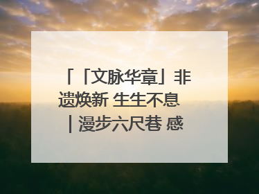 「文脉华章」非遗焕新 生生不息｜漫步六尺巷 感受礼让文化浸润的“巷”往生活