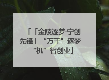 「金陵逐梦·宁创先锋」“万千”逐梦 “机”智创业