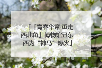 「青春华章·重走西北角」博物馆丑东西为“神马”爆火