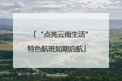 “点亮云南生活”特色航班如期启航