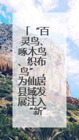 “百灵鸟、啄木鸟、织布鸟”，为仙居县域发展注入“新”动能