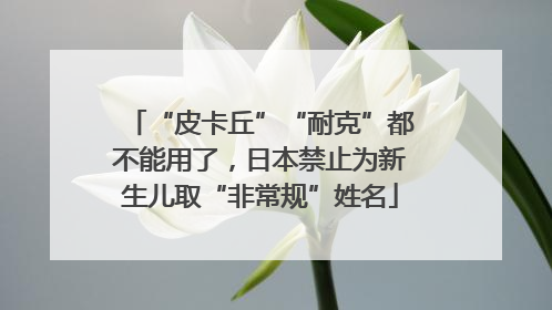 “皮卡丘”“耐克”都不能用了，日本禁止为新生儿取“非常规”姓名