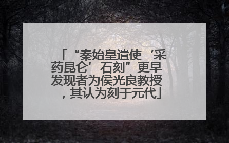 “秦始皇遣使‘采药昆仑’石刻”更早发现者为侯光良教授，其认为刻于元代