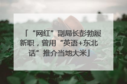 “网红”副局长彭勃履新职，曾用“英语+东北话”推介当地大米