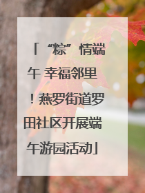 “粽”情端午 幸福邻里！燕罗街道罗田社区开展端午游园活动