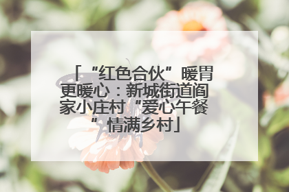 “红色合伙”暖胃更暖心：新城街道阎家小庄村“爱心午餐”情满乡村