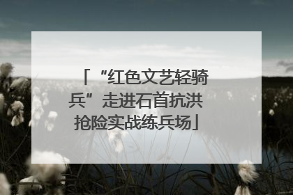 “红色文艺轻骑兵”走进石首抗洪抢险实战练兵场