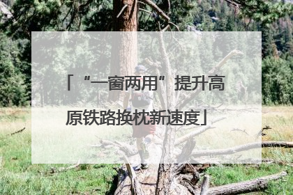 “一窗两用”提升高原铁路换枕新速度