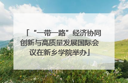 “一带一路”经济协同创新与高质量发展国际会议在新乡学院举办
