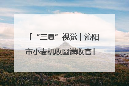 “三夏”视觉｜沁阳市小麦机收圆满收官