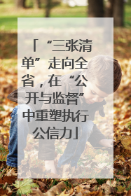“三张清单”走向全省，在“公开与监督”中重塑执行公信力