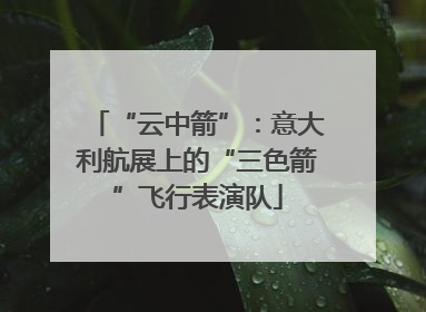 “云中箭”：意大利航展上的“三色箭”飞行表演队