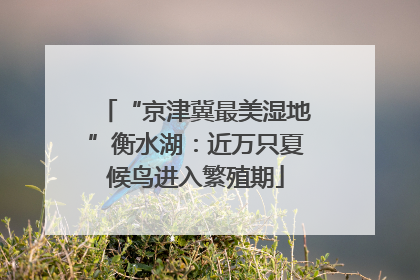 “京津冀最美湿地”衡水湖：近万只夏候鸟进入繁殖期