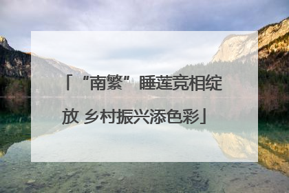 “南繁”睡莲竞相绽放 乡村振兴添色彩