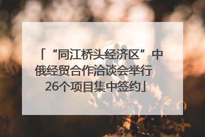 “同江桥头经济区”中俄经贸合作洽谈会举行 26个项目集中签约