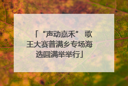 “声动嘉禾” 歌王大赛普满乡专场海选圆满举举行