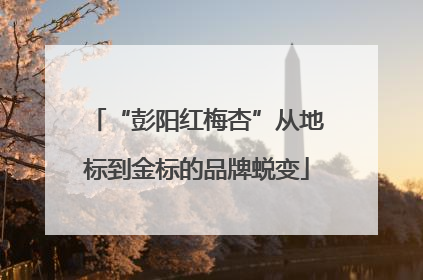 “彭阳红梅杏”从地标到金标的品牌蜕变