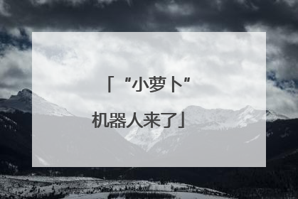 “小萝卜”机器人来了