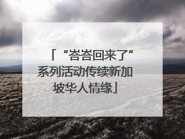 “峇峇回来了”系列活动传续新加坡华人情缘