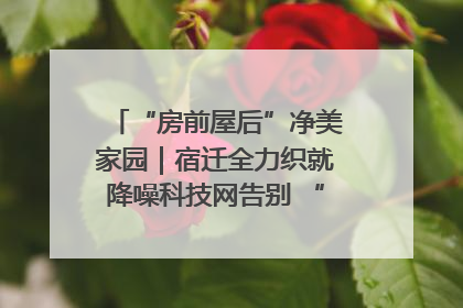 “房前屋后”净美家园｜宿迁全力织就降噪科技网告别 “声” 烦恼