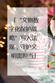 “文物数字化保护战略”写入法规，守护文明需担当