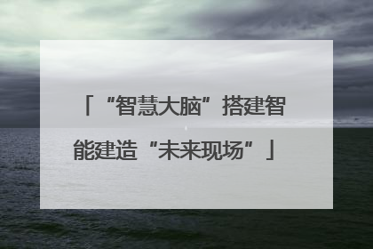 “智慧大脑”搭建智能建造“未来现场”