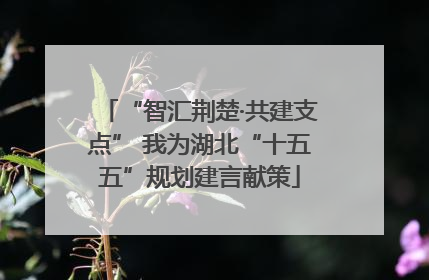 “智汇荆楚·共建支点” 我为湖北“十五五”规划建言献策