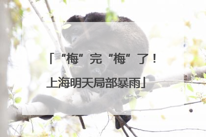 “梅”完“梅”了！上海明天局部暴雨
