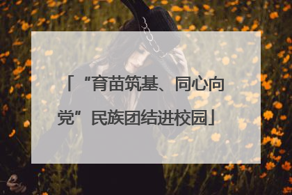 “育苗筑基、同心向党”民族团结进校园