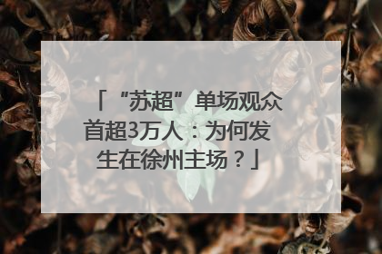 “苏超”单场观众首超3万人：为何发生在徐州主场？
