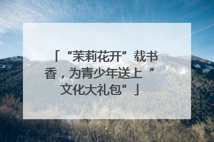 “茉莉花开”载书香，为青少年送上“文化大礼包”
