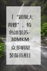 “超级大黄蜂”、特色涂装苏-30MKM 众多明星装备亮相
