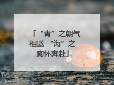 “青”之朝气相邀 “海”之胸怀奔赴