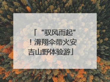 “驭风而起”！滑翔伞带火安吉山野体验游