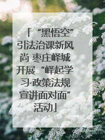 “黑悟空”引法治课新风尚 枣庄峄城开展“峄起学习·政策法规宣讲面对面”活动