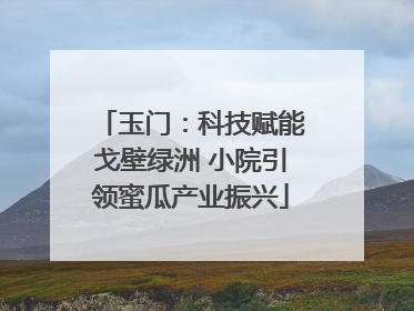 玉门：科技赋能戈壁绿洲 小院引领蜜瓜产业振兴