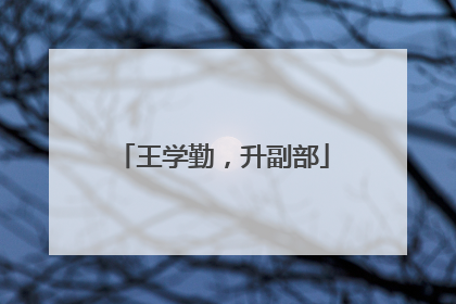 王学勤，升副部