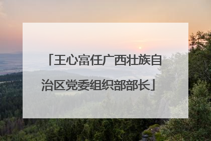 王心富任广西壮族自治区党委组织部部长