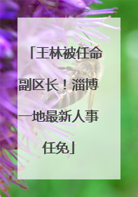 王林被任命副区长！淄博一地最新人事任免