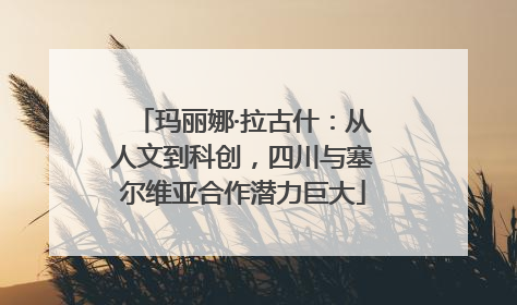 玛丽娜·拉古什：从人文到科创，四川与塞尔维亚合作潜力巨大