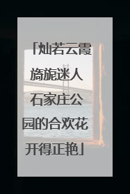 灿若云霞 旖旎迷人 石家庄公园的合欢花开得正艳