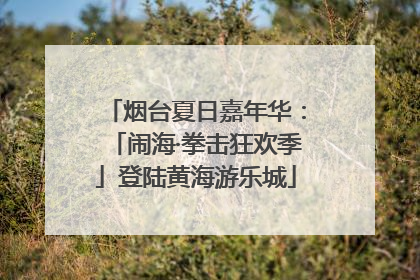 烟台夏日嘉年华：「闹海·拳击狂欢季」登陆黄海游乐城