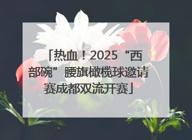 热血！2025“西部碗”腰旗橄榄球邀请赛成都双流开赛