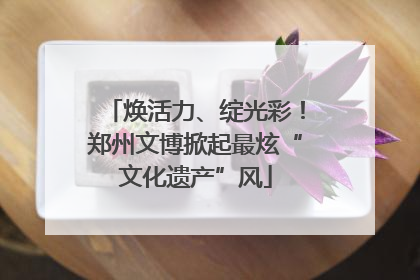 焕活力、绽光彩！郑州文博掀起最炫“文化遗产”风