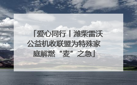 爱心同行丨潍柴雷沃公益机收联盟为特殊家庭解燃“麦”之急
